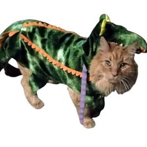 Halloween Pet Costume Allegator Plush Costume with opening for leash